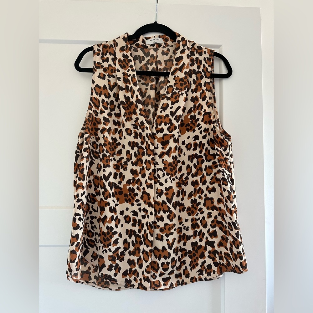 Babaton silk tank top from Aritzia